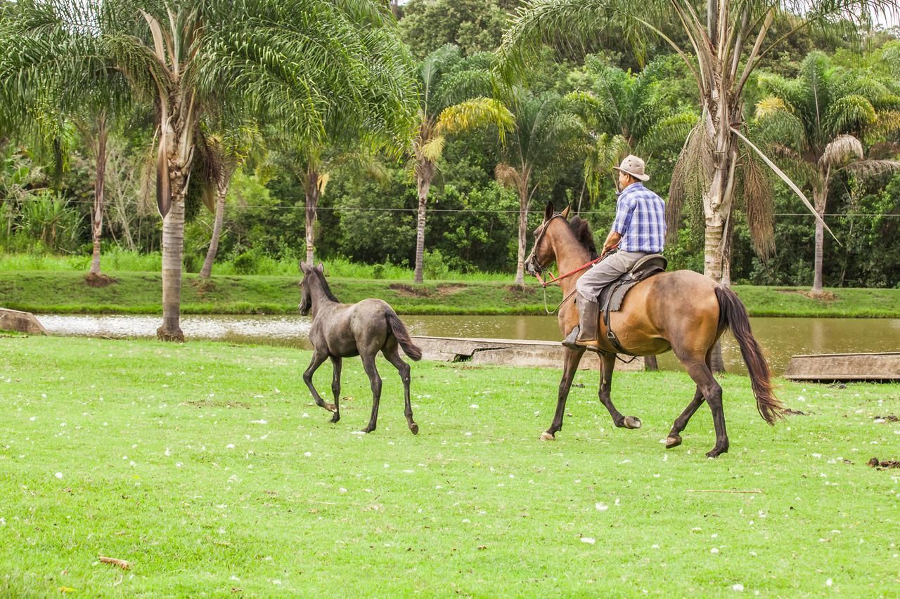 Hotel Fazenda Igarapes المظهر الخارجي الصورة